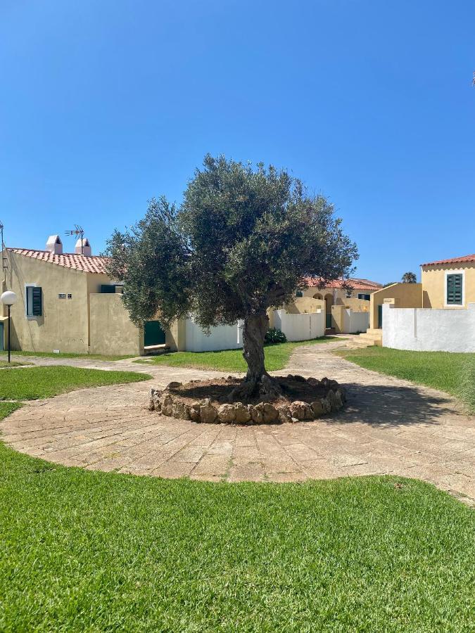 Apartamento 7 Palmeras Ciutadella  Exteriér fotografie